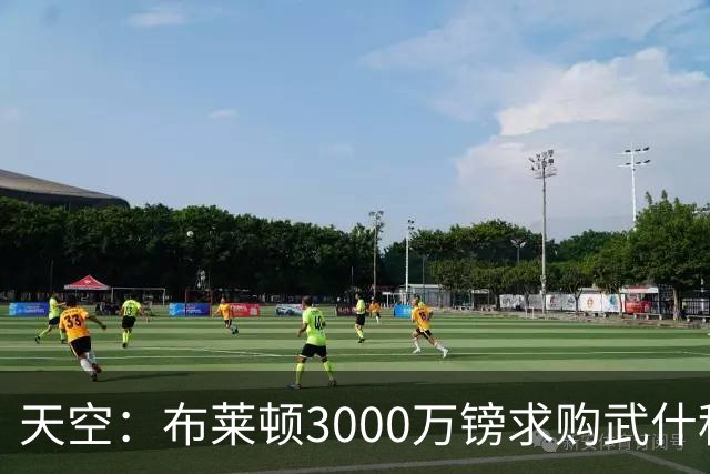 天空：布莱顿3000万镑求购武什科维奇，预计热刺对其估值超6000万